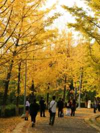 貴陽觀山湖公園打卡拍照太有氛圍感了