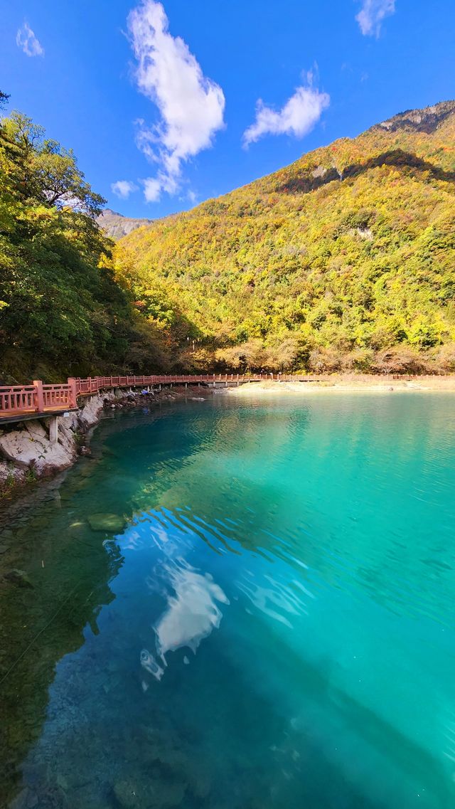 文縣天池秋季萬山紅遍