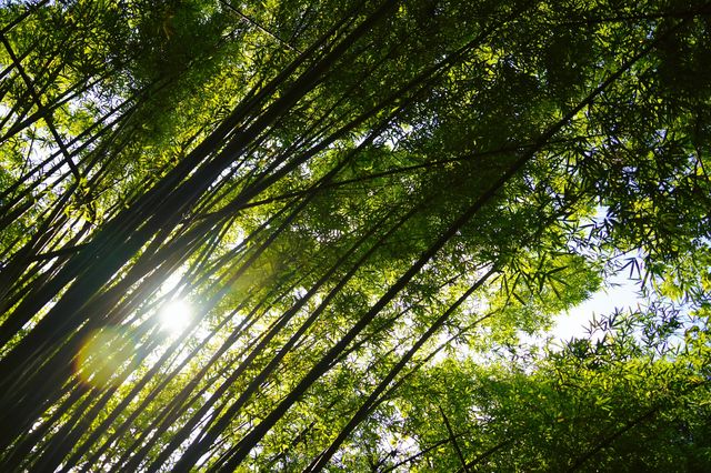 欽州八寨溝，遠離喧囂、盡享自然之美的仙境