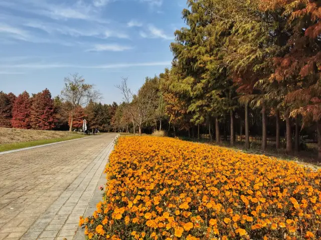 同里國家濕地公園