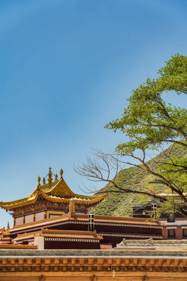 甘南ラブラン寺—仏教の聖地