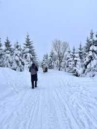 長白山雪嶺闖入童話世界看麋鹿live圖