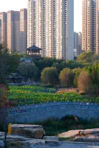 鄭州秋日美拉德聖地 | 西流湖公園