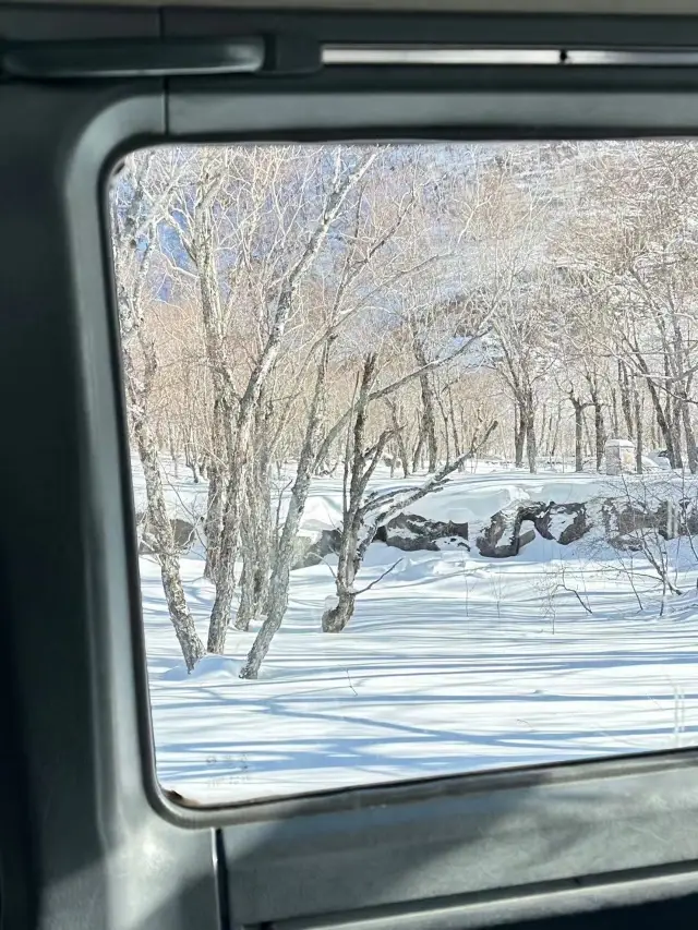 연길-장백산 직접 체험 회피雷