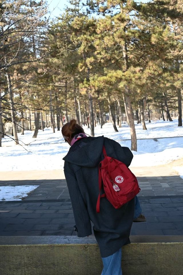 北京周邊一日遊，大同看古建築十滑雪