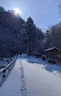 冬日限定：邂逅官鵝溝絕美冰瀑冬雪