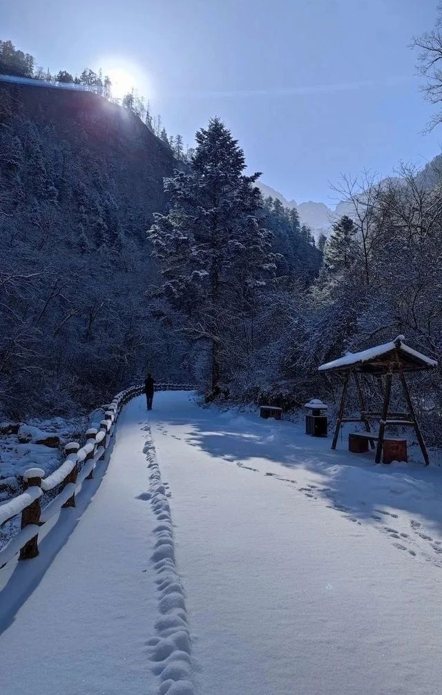 冬日限定：邂逅官鵝溝絕美冰瀑冬雪