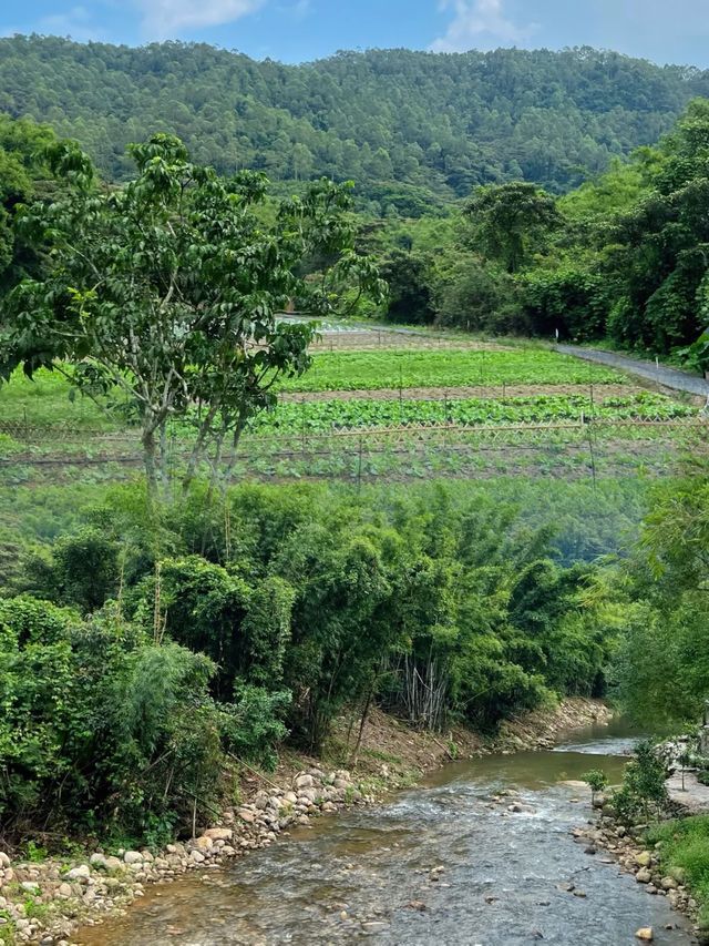 羅浮山腳下的隱世百年古村 | 徐田古村