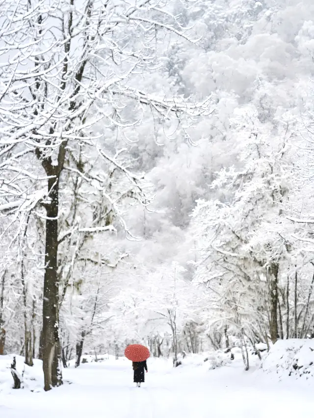 四川嚴重被低估山林童話下雪巨美巨出片