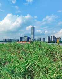 在西岸，看黃浦江兩岸現代新貌