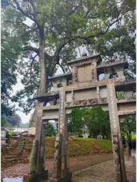 藏在山裡的“民間小故宮”——培田古村