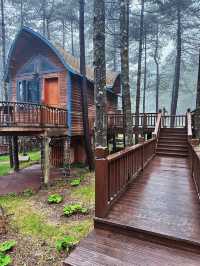 短途旅行度假就來洛陽白雲山吧