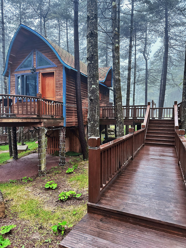 短途旅行度假就來洛陽白雲山吧