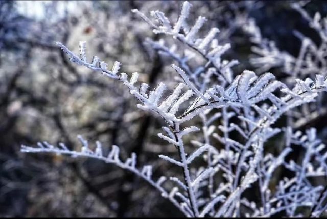 杭州富陽雨雪後的杏梅尖太美了 徒步攻略記錄