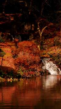 【紅葉季·紅葉狩】日光國立公園：一樹一樹的秋色如火如荼…
