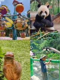 長隆動物園夏天省時省力親子遊玩攻略