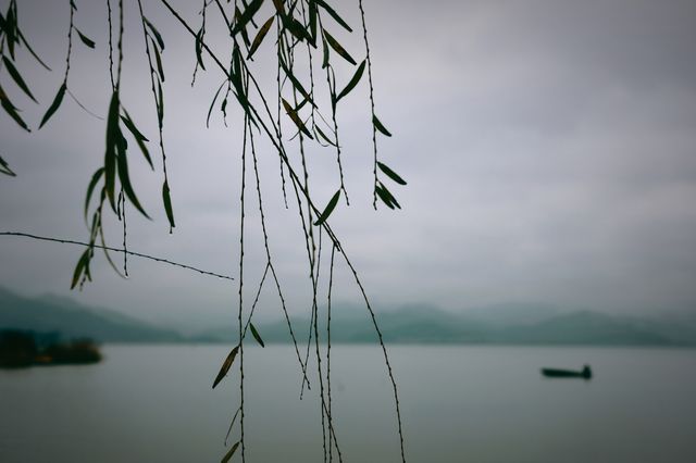 青霧遠黛，扁舟鷗鷺，憑欄聽雨身入禪