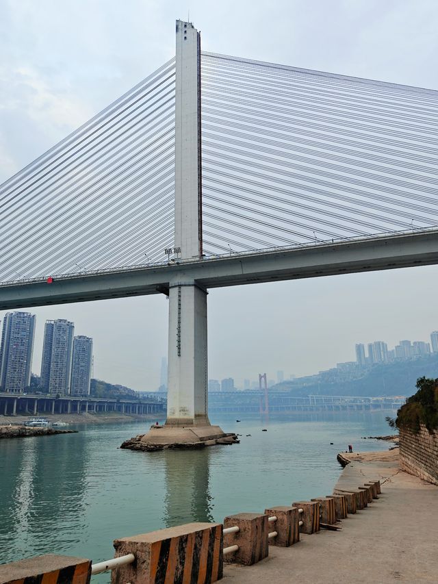 在重慶|這是一條直通“大海”的公路 在重慶|這是一條直通“大海”的公路