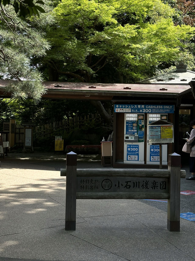 藏在東京市中心的秘境遊園地 | 小石川後樂園