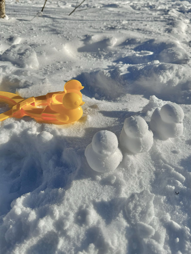 雪嶺芬蘭即視感