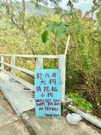 香港🇭🇰｜徒步東澳古道，俯瞰港珠澳大橋