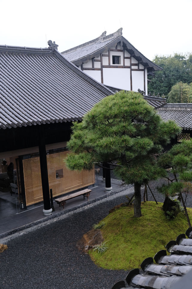 溫州嘉野｜在城中度假 享濕地林野之美