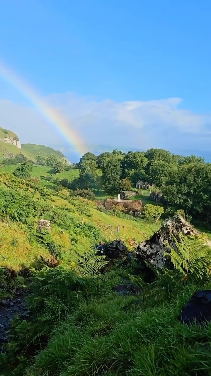 Dive into the mesmerizing sea of Ireland’s lush greenery