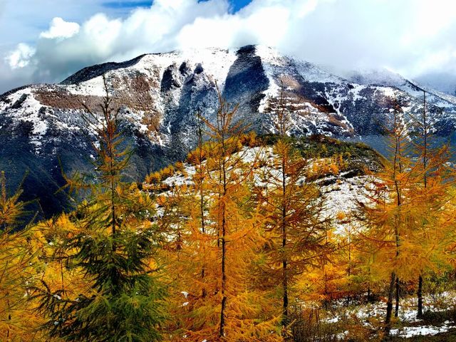 十年武山，印象渭川