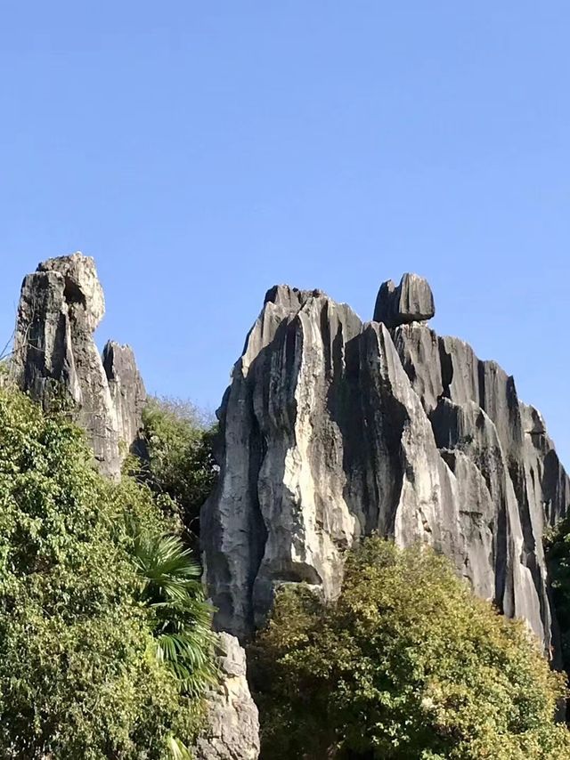 遊昆明石林風景區有感