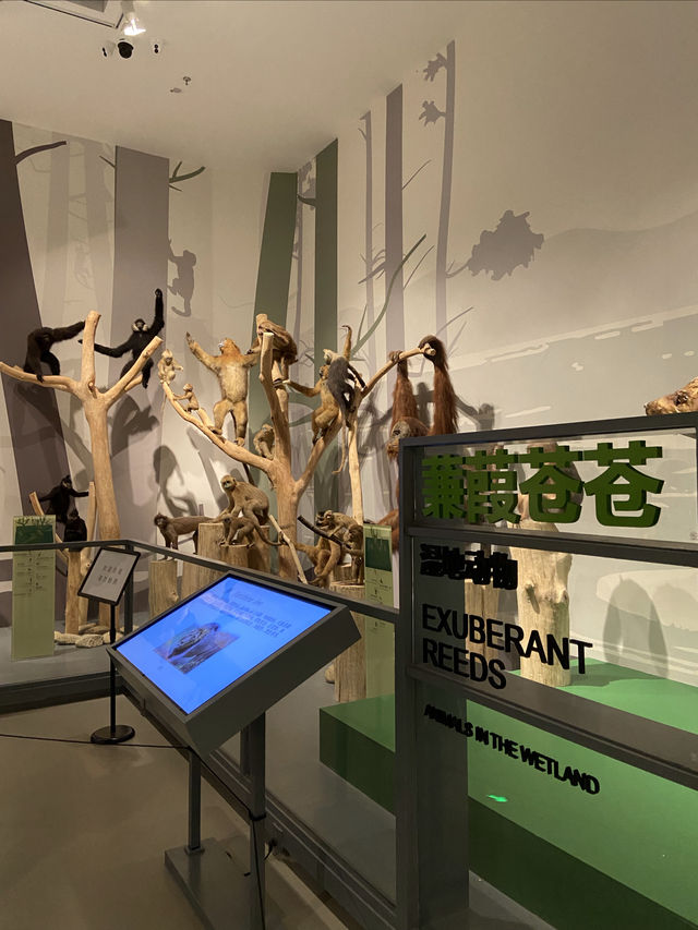 萬林藝術博物館