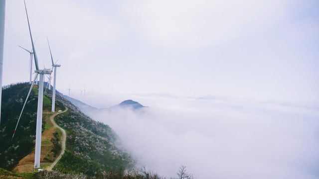 湖北咸寧葛仙山徒步｜感受野櫻肆意生長的美