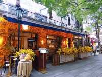 上海徐匯區citywalk攻略來啦