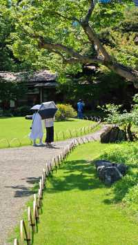 【夏日東京綠】小石川後樂園：深綠淺綠抹茶綠裡愜意一刻