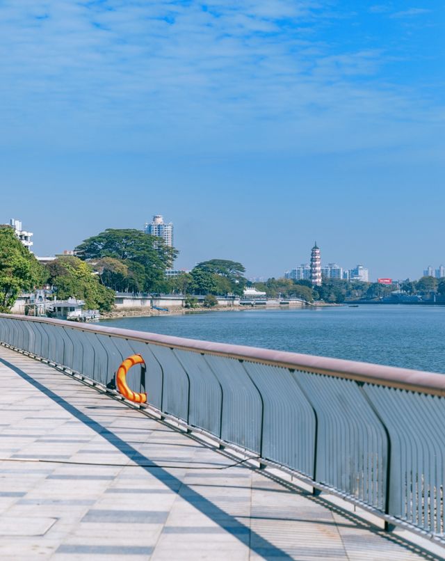 東莞新晉遛娃公園～萬江龍舟競渡主題公園