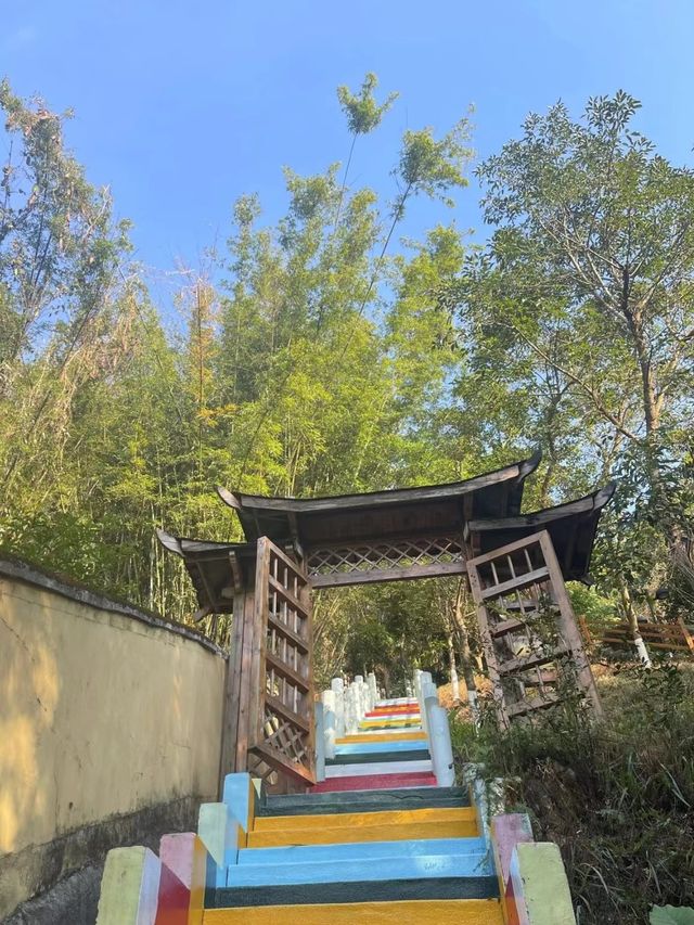 在森林中度假會是怎麼樣的一種享受呢