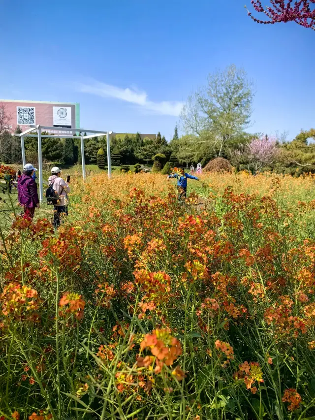 Beijing World Flower Garden | Kingdom of Plants