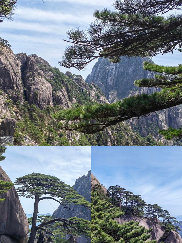 黃山旅遊攻略