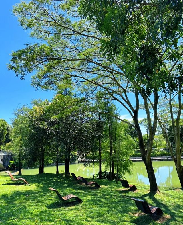 夏日治愈系綠色這個公園隨手一拍都好美