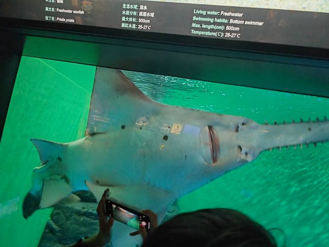 上海海洋水族館