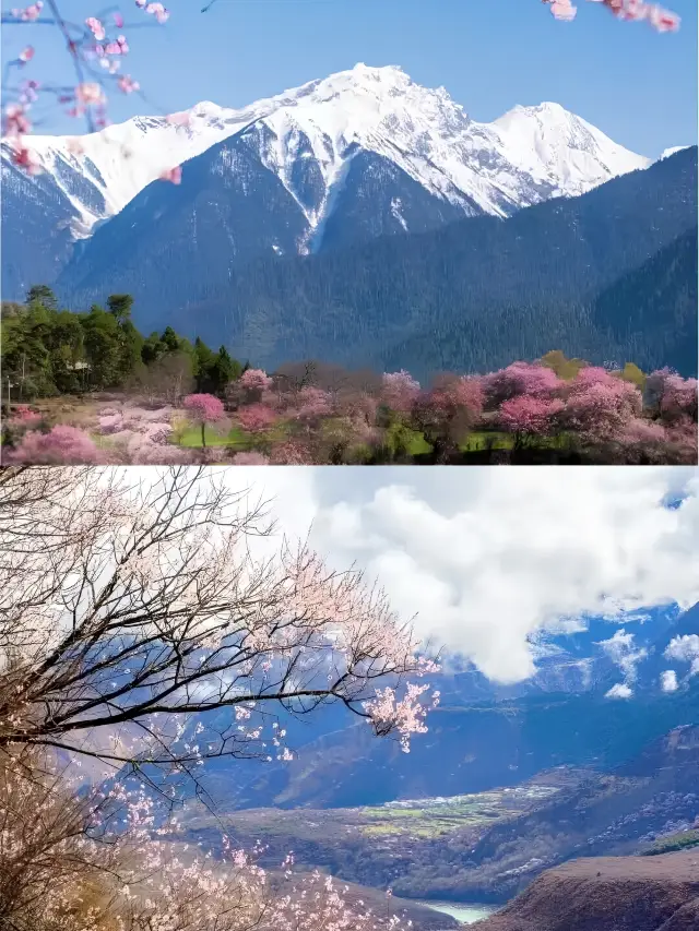 天氣漸漸熱起來了，愛旅遊的趕緊動起來吧