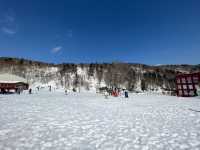 札幌滑雪場：釋放冬日激情，盡享極致滑雪樂趣！