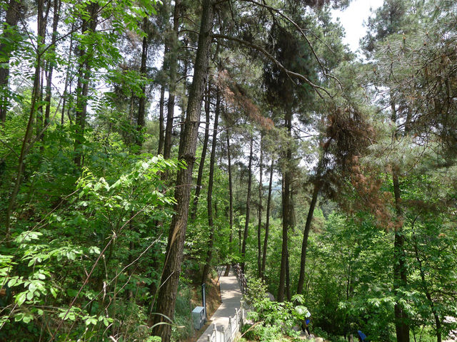 山中有靈泉——登高雲山·雲釋山泉