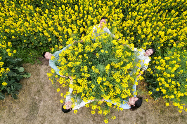 如何拍攝花海人像？來看十大姿勢拍起來！