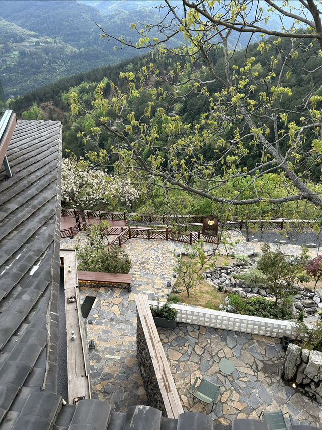 金佛山下的避世之地，隱於山中的風吹雲台