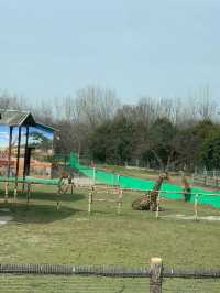西安秦嶺野生動物園｜一日遊