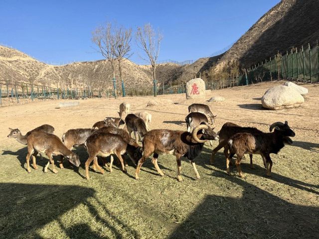 蘭州十一月遊｜據推測近期旅遊打卡地爆火