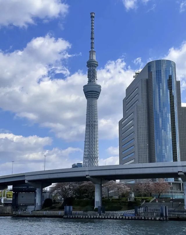 日本晴空塔：東京天空樹