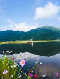 神農架大九湖國家濕地公園——自然界的遺產地！
