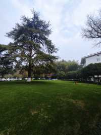 元旦假期浙江賓館超滿意的住宿體驗——
