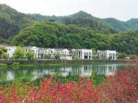 依依古村 千年仁里